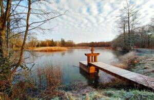 Site CCSR - Home page - étang Sologne