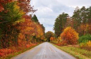 Site CCSR - Home page - route Sologne