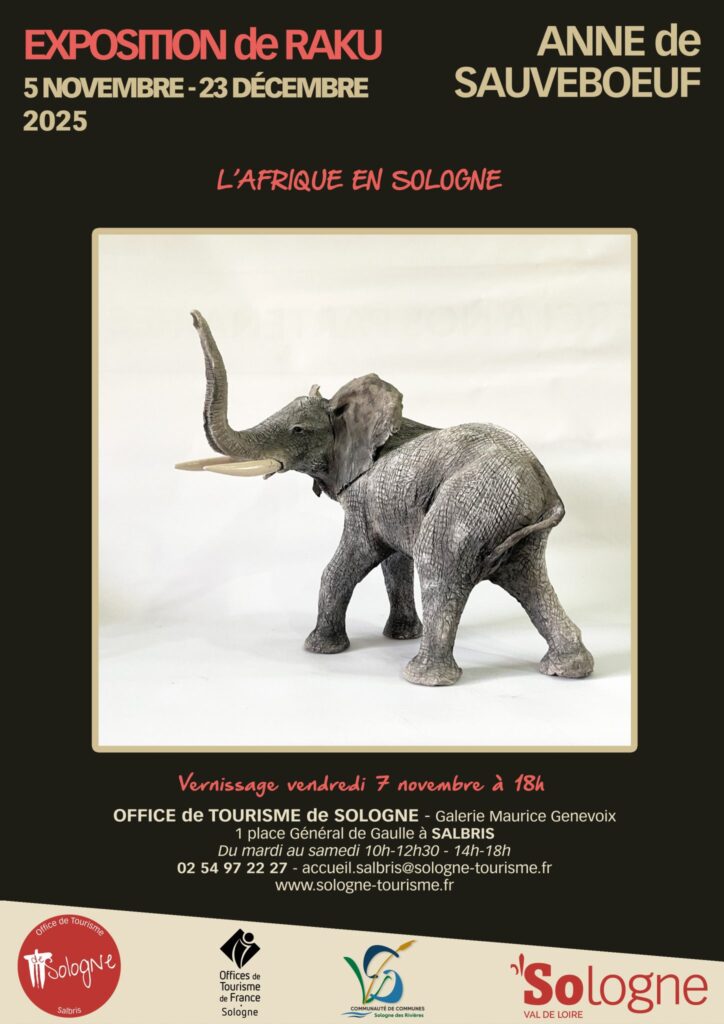 Affiche-exposition-Anne-de-Sauveboeuf-Galerie-Maurice-Genevoix-Salbris-2025-scaled