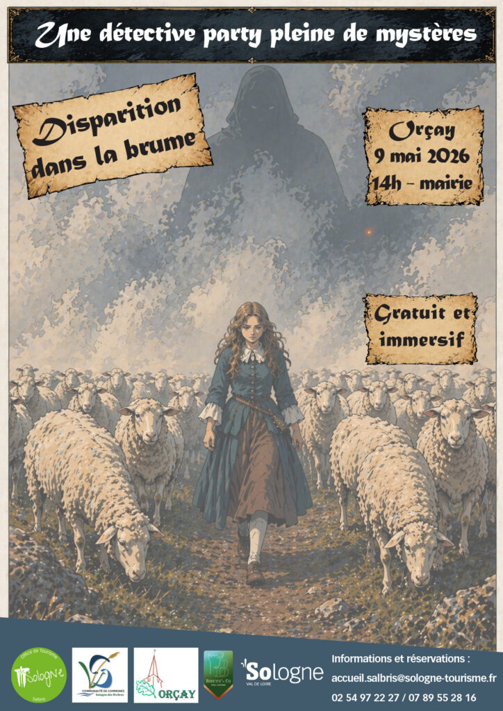 Affiche - detective party orçay Disparition dans la brume